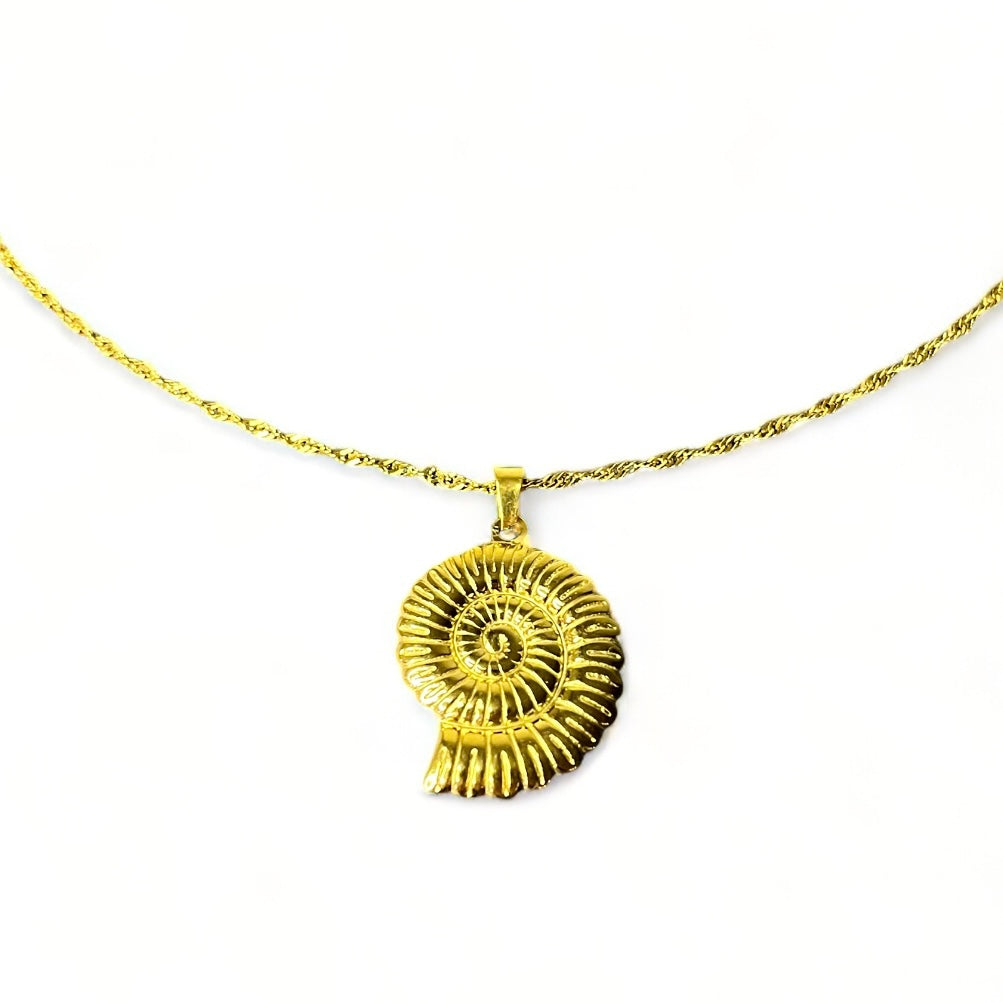Ketting nautilus bedel
