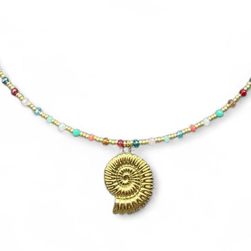 Sunset Shell